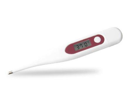 Digital Thermometer