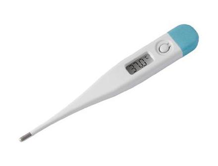 Waterproof Digital Thermometer