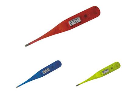 Transparent Digital Thermometer